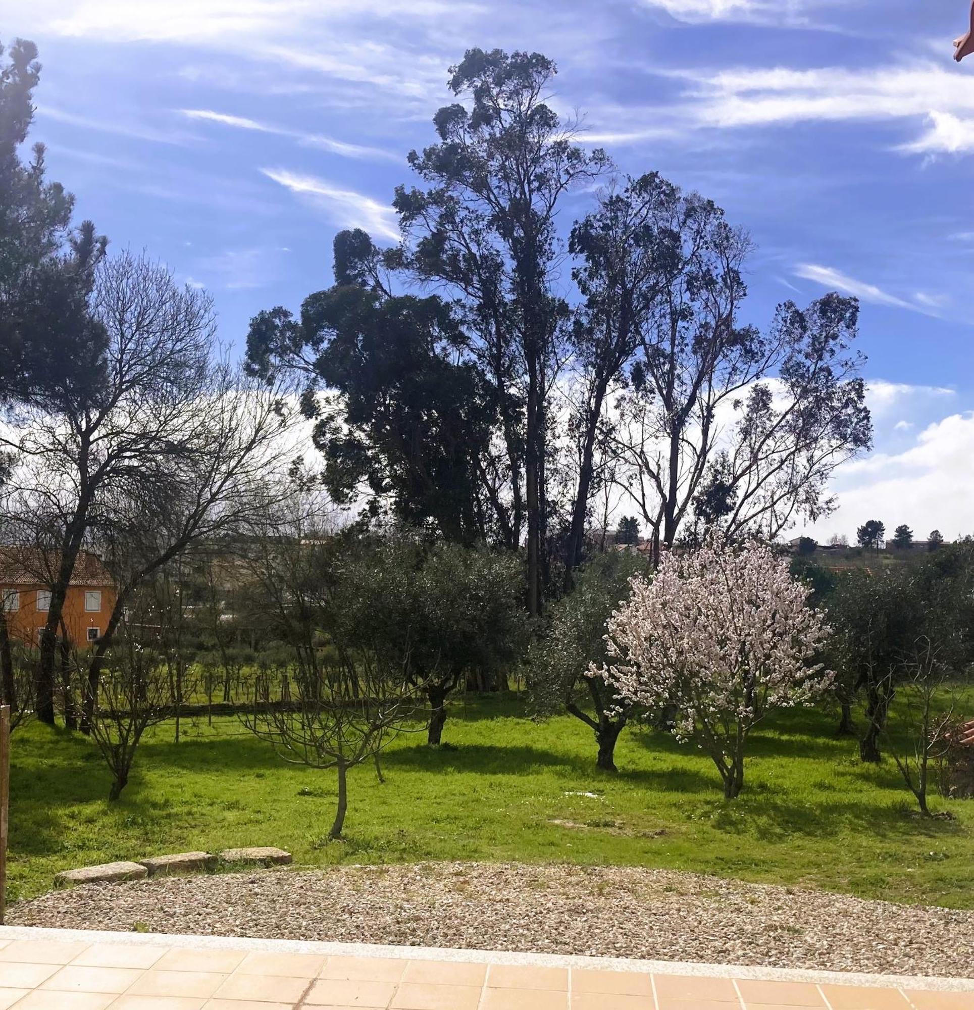 Ar Da Beira Villa Belmonte  Exterior photo
